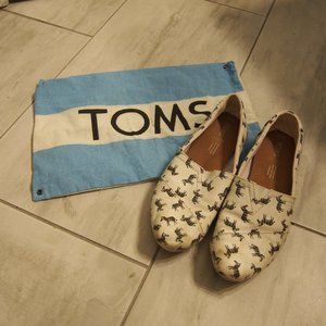 Classic Alpargata Rainbow Zebra Toms